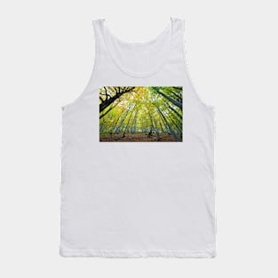 Green beech forest illuminated by the sun, low and wide angle view Tank Top